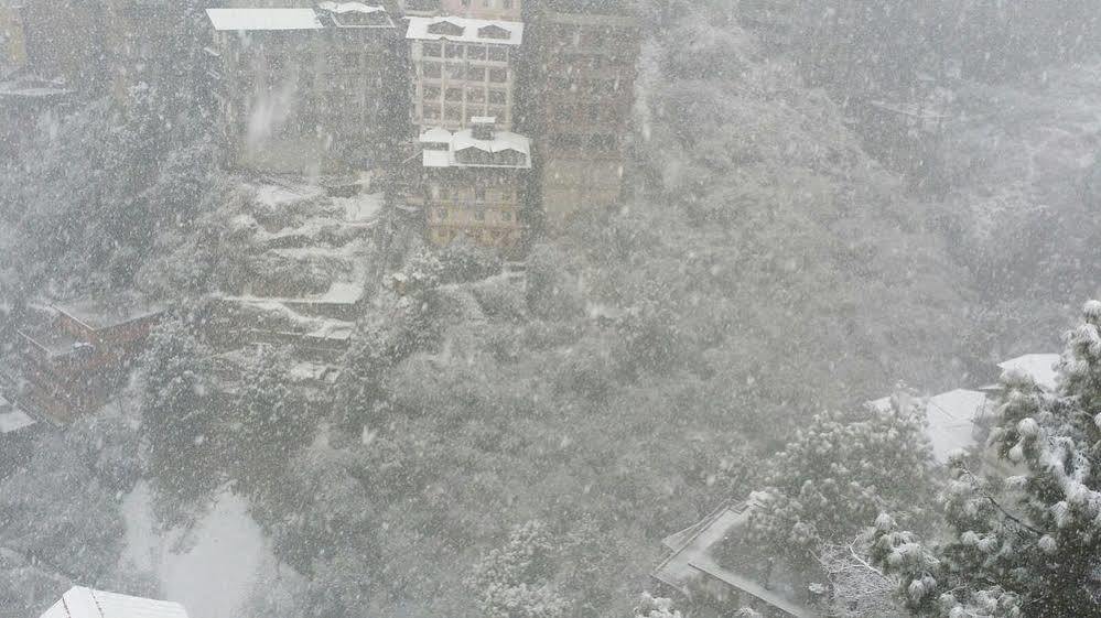 Snow Valley Resorts Shimla Exteriör bild